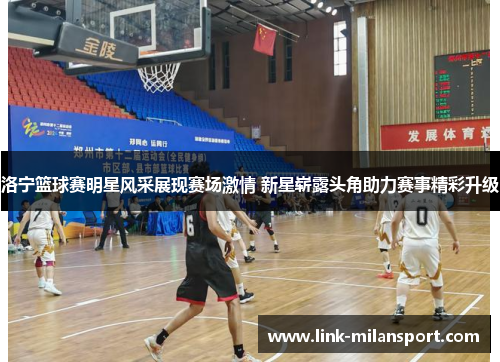 洛宁篮球赛明星风采展现赛场激情 新星崭露头角助力赛事精彩升级