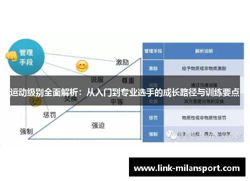 运动级别全面解析：从入门到专业选手的成长路径与训练要点