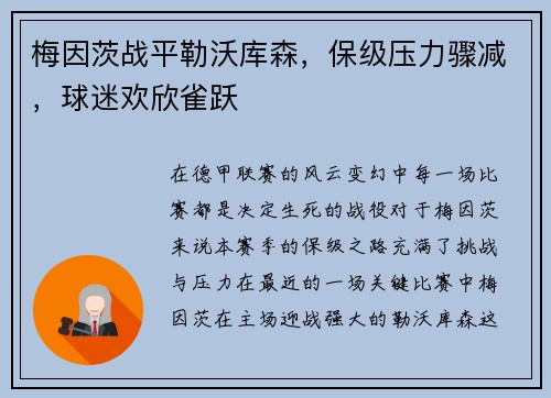 梅因茨战平勒沃库森，保级压力骤减，球迷欢欣雀跃